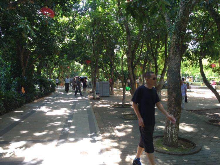 好吃到爆的海南美食,值得一尝的海南特色美食