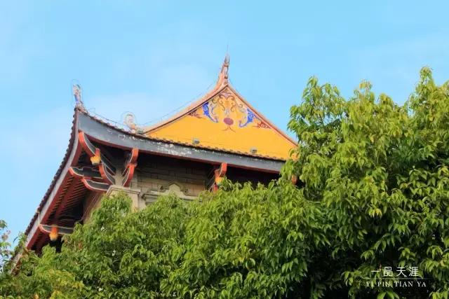 最美集美中学,集美中学长什么样