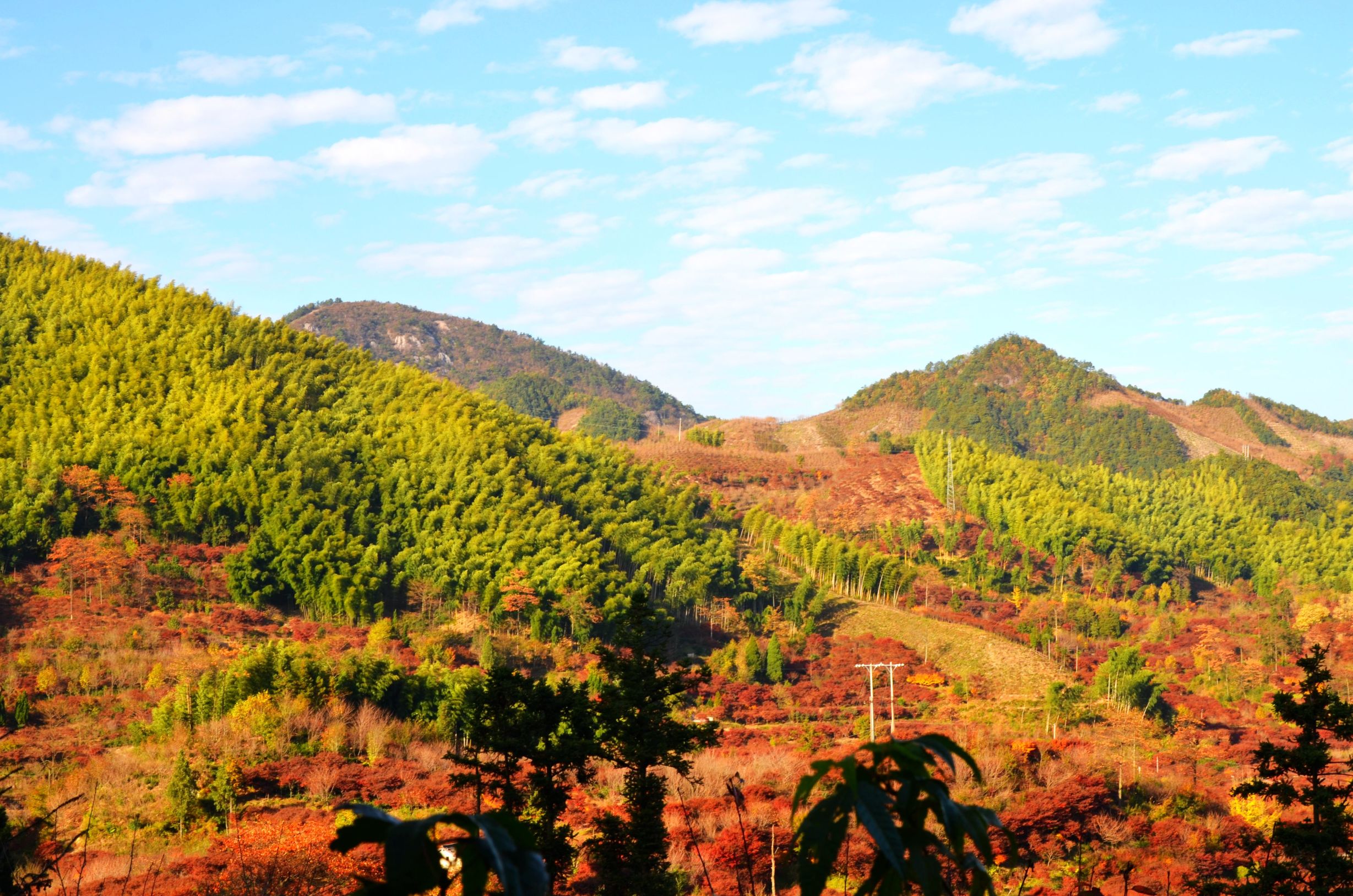 宁波周边秋季好去处,宁波秋季合适游玩的地方