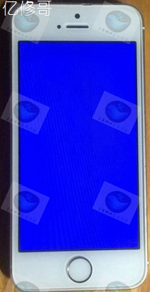 维修记录iphone,苹果5s一直白苹果蓝屏