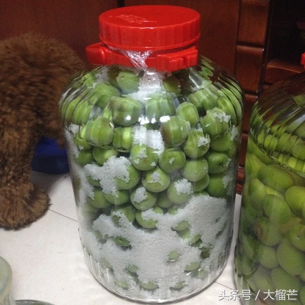 广西特产泡酸梅子,广西酸梅怎么泡比较好