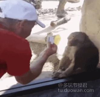 爱情搞笑动态图片,爱情搞笑动态图