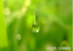 梁朝伟在这片里居然是一个抖M狂，那么问题来了，是谁在虐他