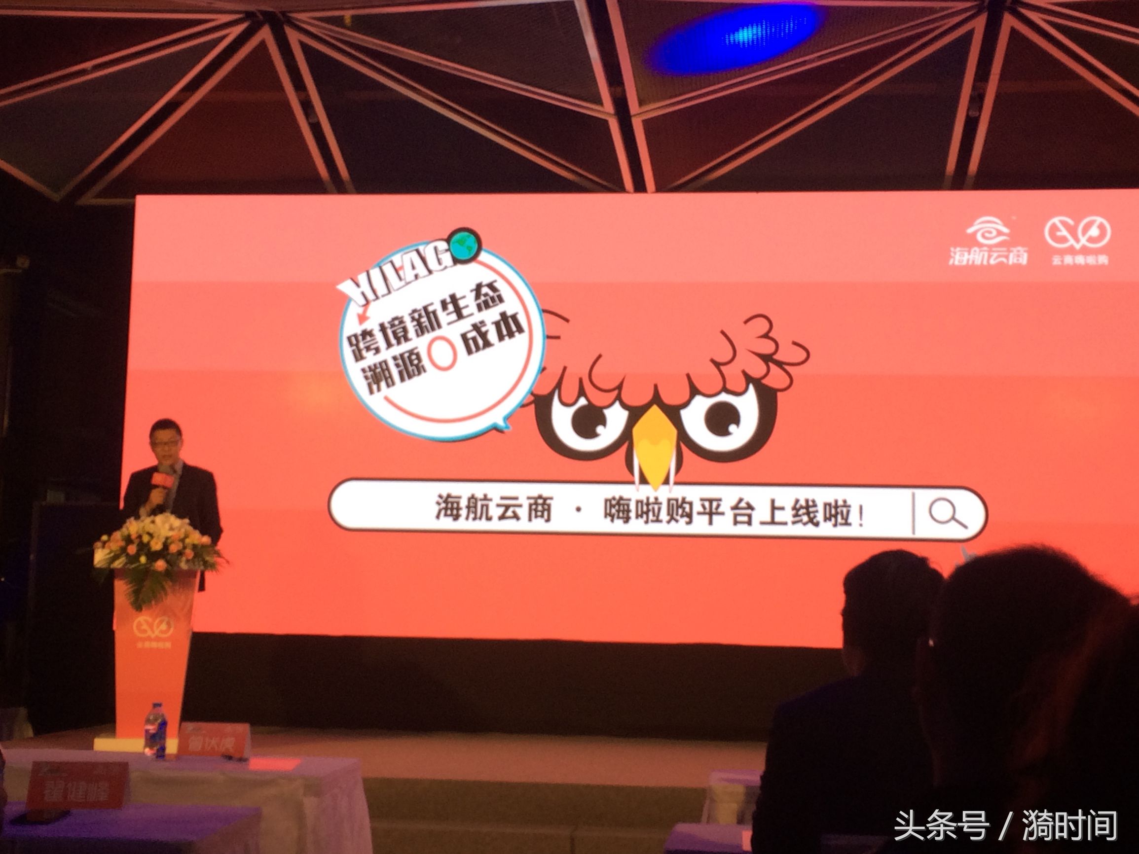 海航是棵大树要让做跨境进口的中小微商家靠上来