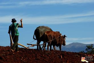 怎么快速过新手期头条号,头条号新手期文章视频