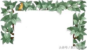 素食者膳食指南,素食者膳食指南完全版