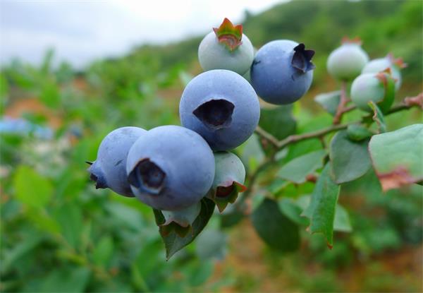 护眼隐藏灯,眼部护眼最好的方法