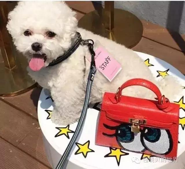 推荐韩系包包,韩国最火的十种包包