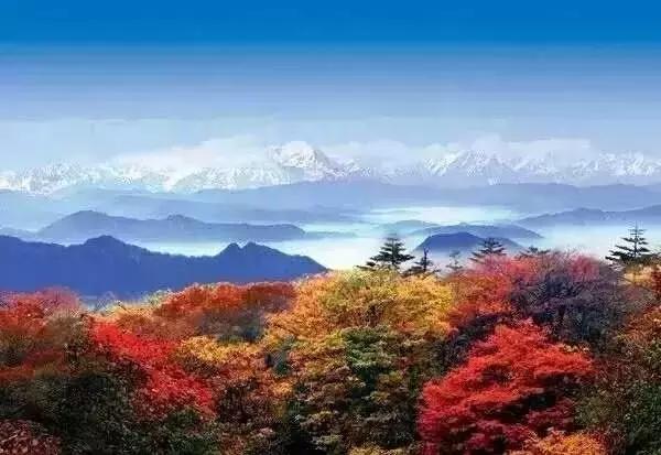 四川三个赏秋绝妙地,四川秋天最美的7个地方