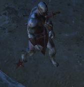 流放之路开荒快速过剧情攻略,流放之路近战剧情开荒攻略