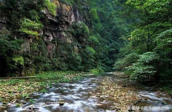 武汉到张家界自由行攻略,上海到张家界自驾游详细攻略