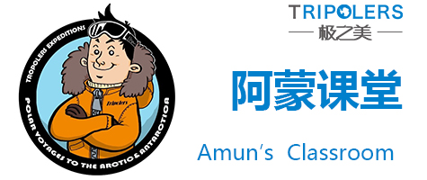 阿蒙课堂-海洋中的瑰宝：玳瑁