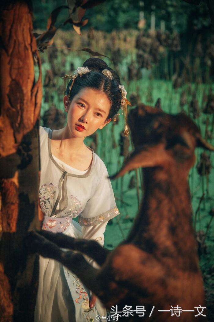 《唯有丹桂飘香八月馥郁芬芳》我，想你了荼蘼花事春已了