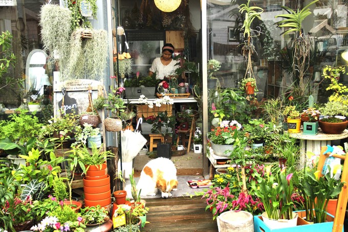 济州岛沉浸式体验,济州岛体验韩妆