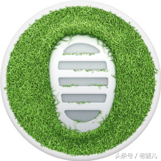 锤子发布会老罗执念,老罗最新爆料锤子