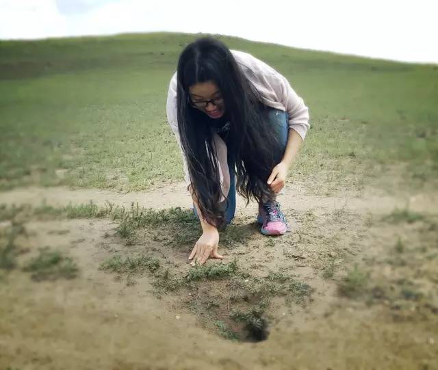 自驾川西带金毛,长途自驾带金毛