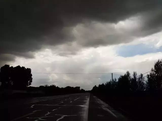 自驾川西带金毛,长途自驾带金毛