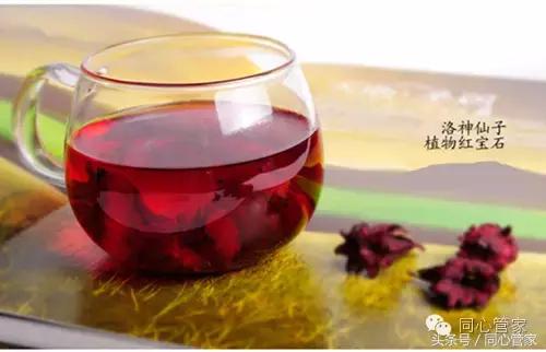绞股蓝和什么茶一起泡水调理三高,三高调理茶的功能与功效是什么