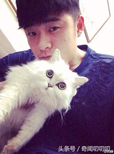 陈赫官宣生二胎了吗,陈赫官宣二胎告捷了吗