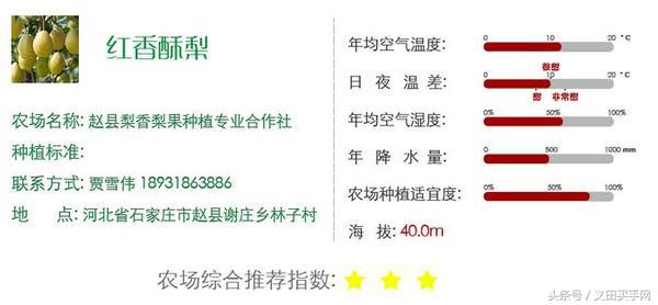 买梨子怎么选才好吃,义田买手