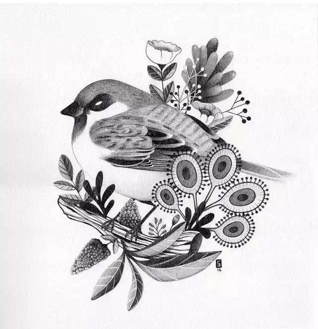 插画魔卡少女樱,插画少女和猫图片