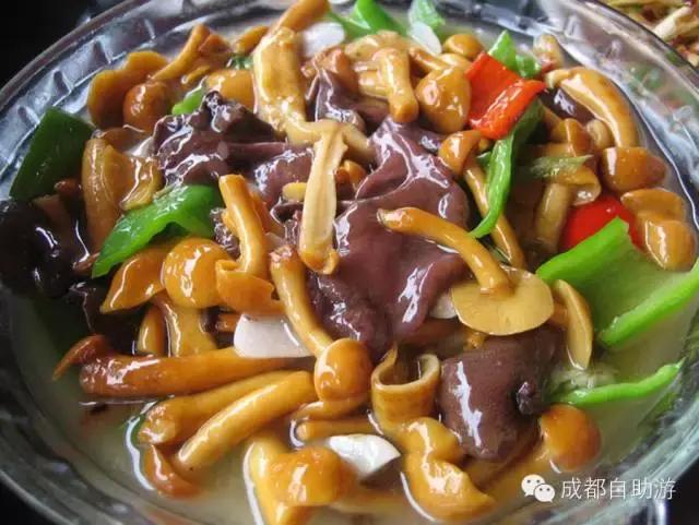 成都周边半小时车程左右看秋景,离成都200公里内景区