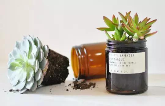 空的乳液瓶能够做什么,不要的护肤品瓶能做什么