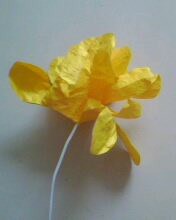 教你折玫瑰千纸鹤,教你折浪漫的樱花球