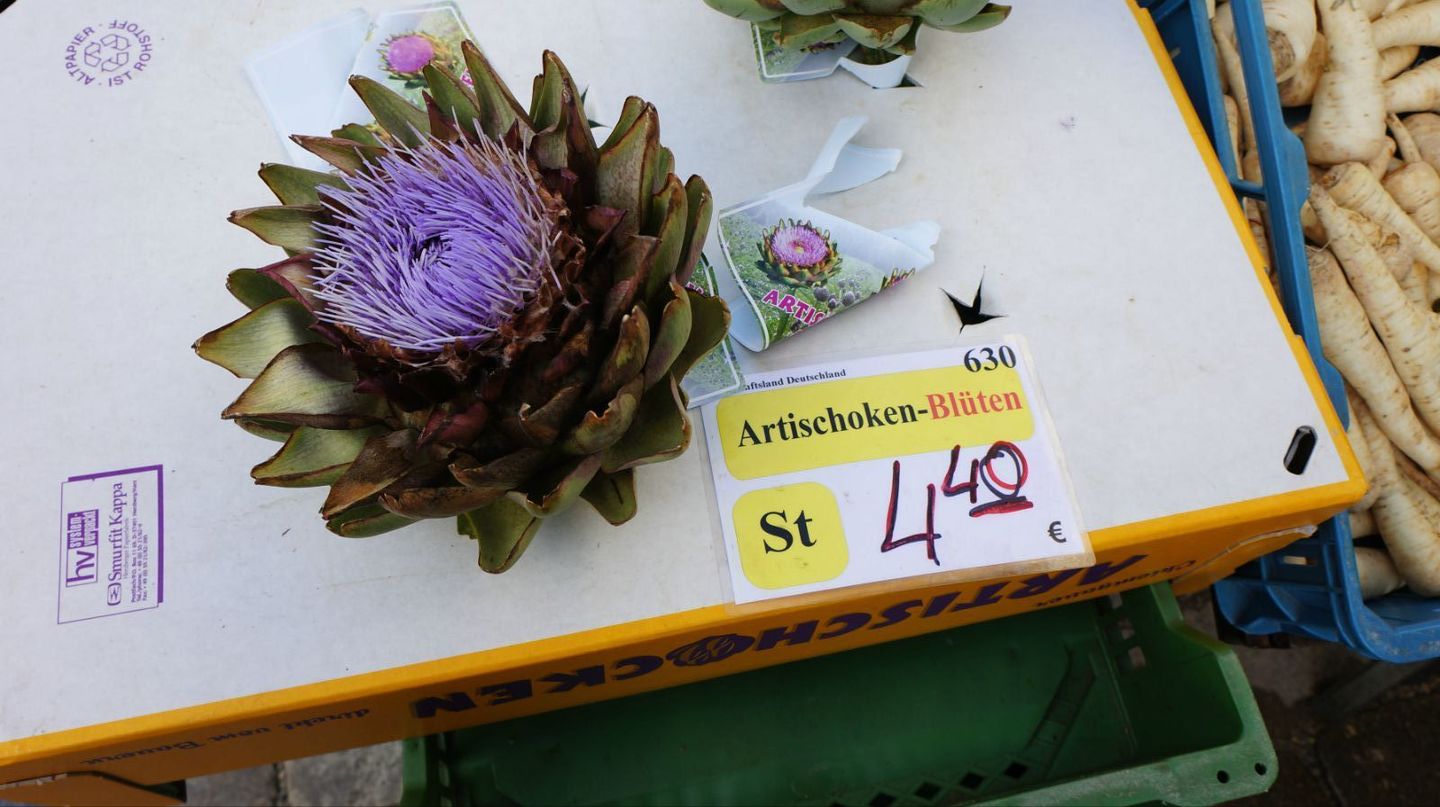 德国南部和瑞士旅游线路,德国南部自驾游