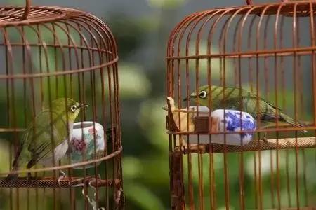 谁做的这本上海生活指南？老结棍了！走遍上海不用愁！