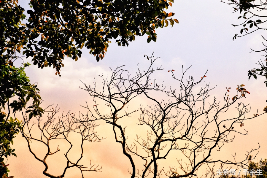 行麦径风景时宿轻沙绵风中