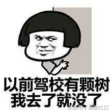 学车被骂哭了怎么办,被教练骂哭后退学