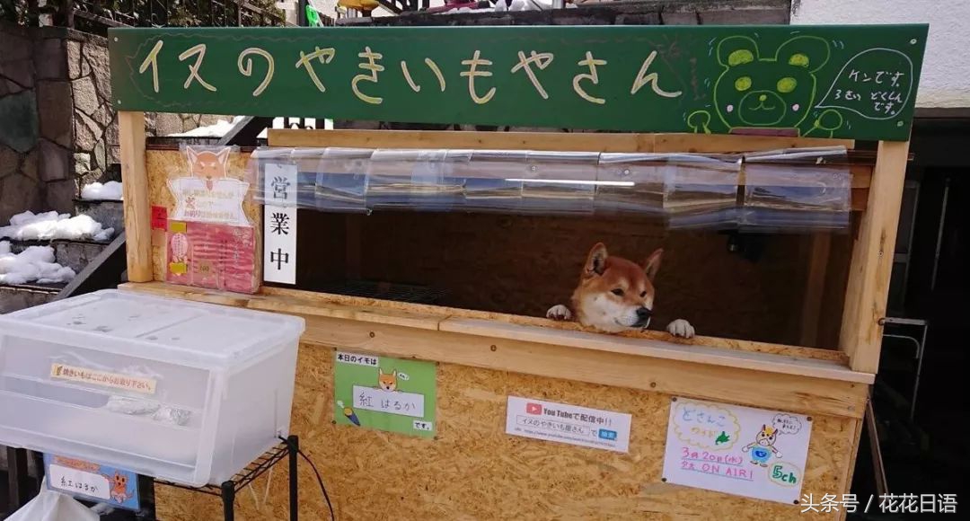 去日本学日语万能句,日语学习日本常用语