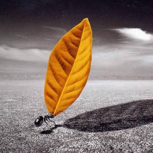 无门槛线上兼职平台哪个好做,小白推荐兼职平台有哪些