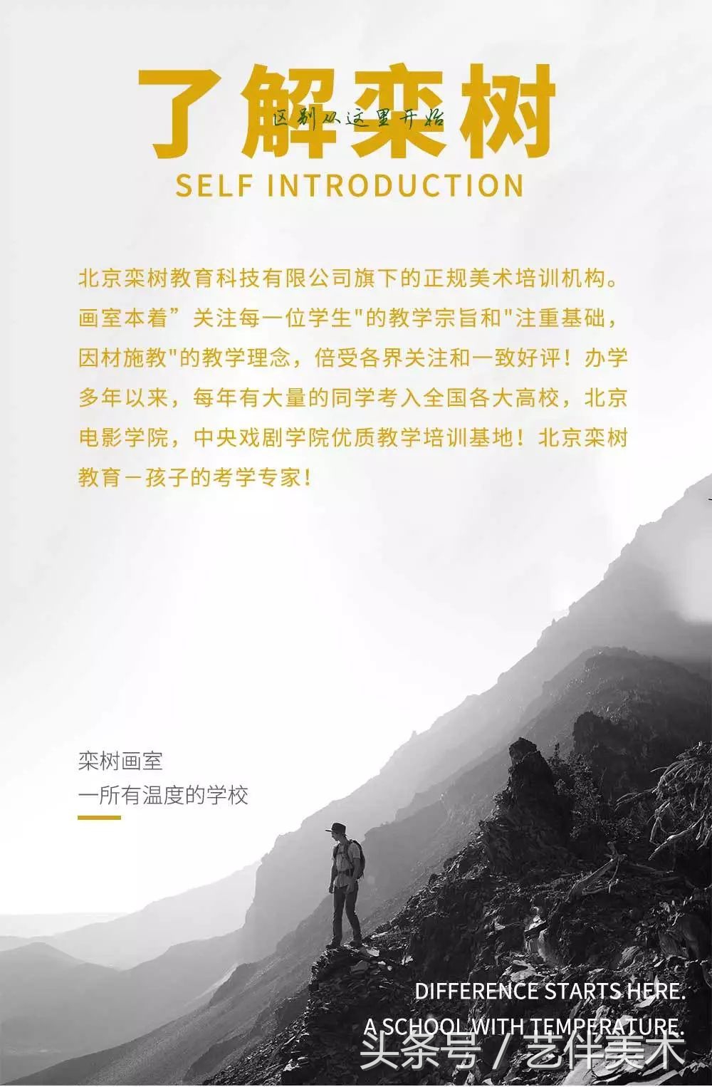 栾树画室地址在哪里,栾树画室学费