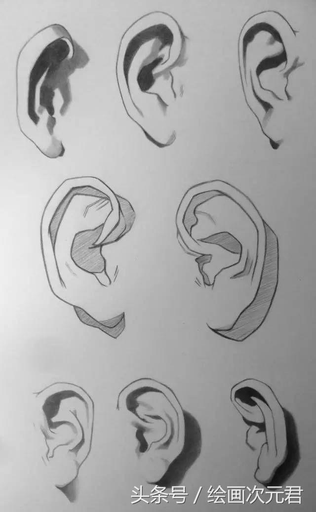 人体结构动态,动态素描·人体结构