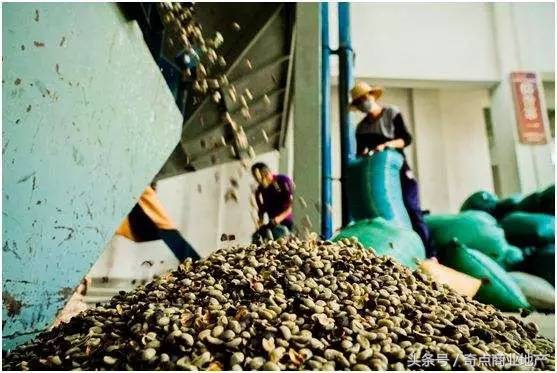 拼多多肉搏星巴克，金拱门又陷“鸡毛门”奇扒说0424