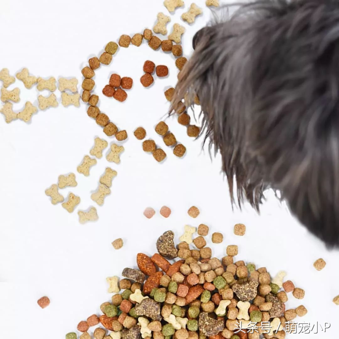 宠物粮配方对比表,10分钟了解宠粮
