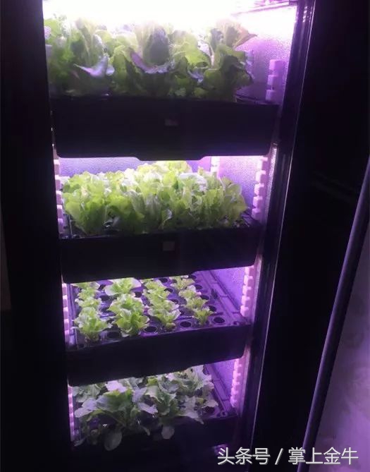 周末，与南门这条民国美食巷来场约会吧！