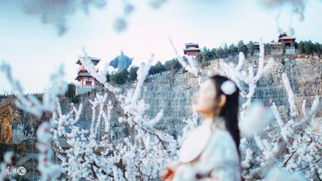 小说：他小心翼翼的走进这繁华宫殿，眼里藏着野心，皇位非他莫属