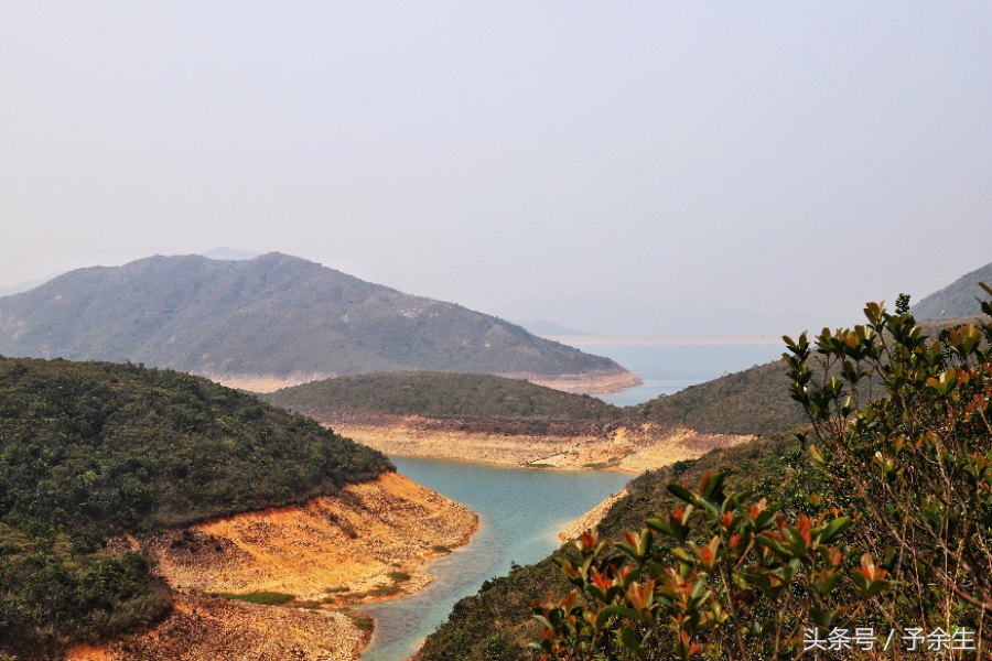 行麦径风景时宿轻沙绵风中