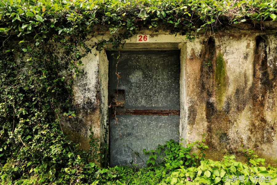 行麦径风景时宿轻沙绵风中