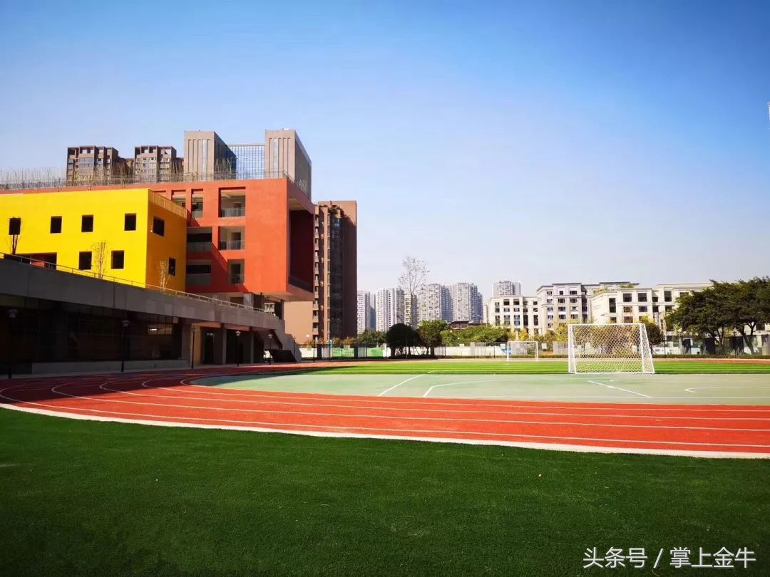 再见茶小，你好新校区！