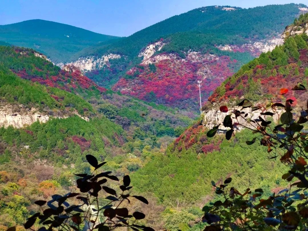 赏秋不远行就近赏秋景,赏秋何必去远方