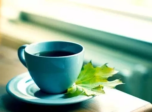 两人三观不合指哪三观,三观不合的婚姻哪三观