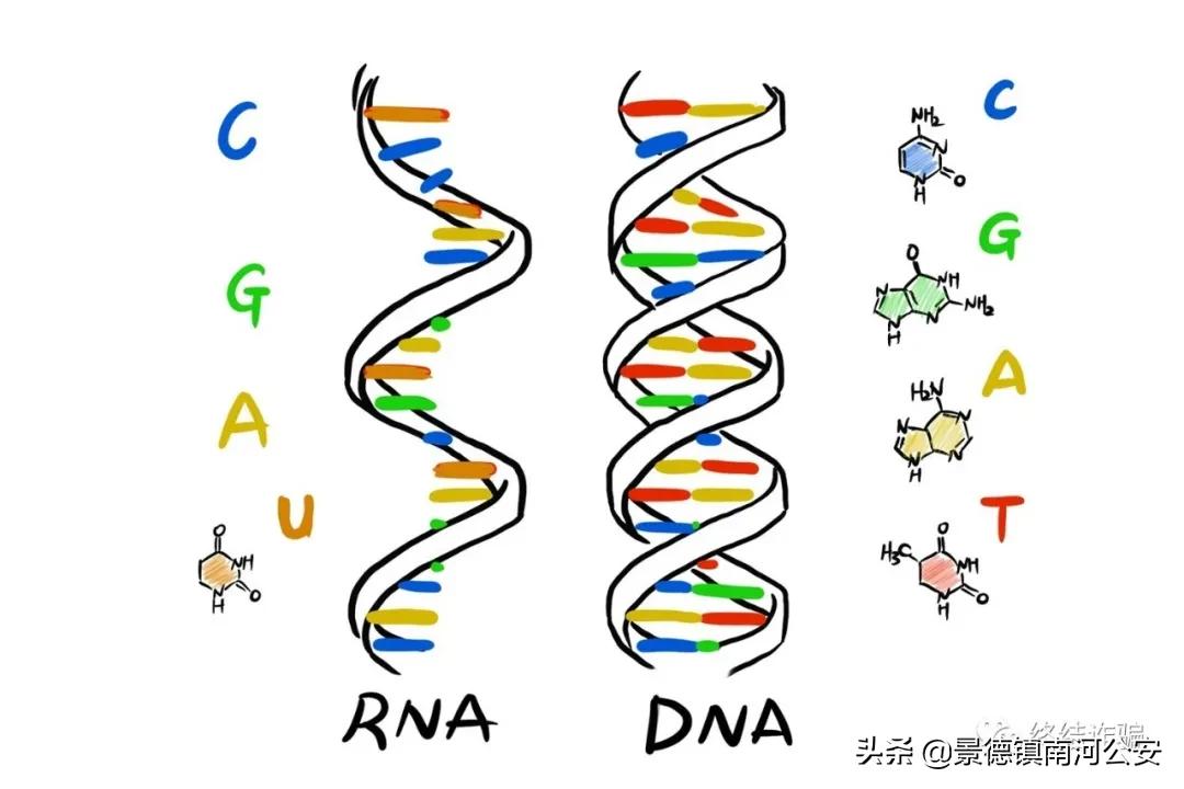 科普病毒真实情况,科学家研究病毒科普小知识