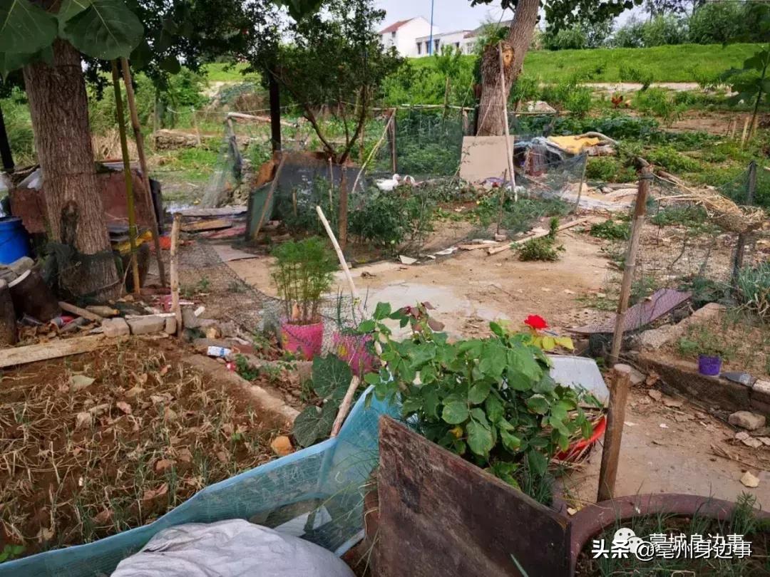 蒙城：一船一家一辈子！他们吃住都在船上