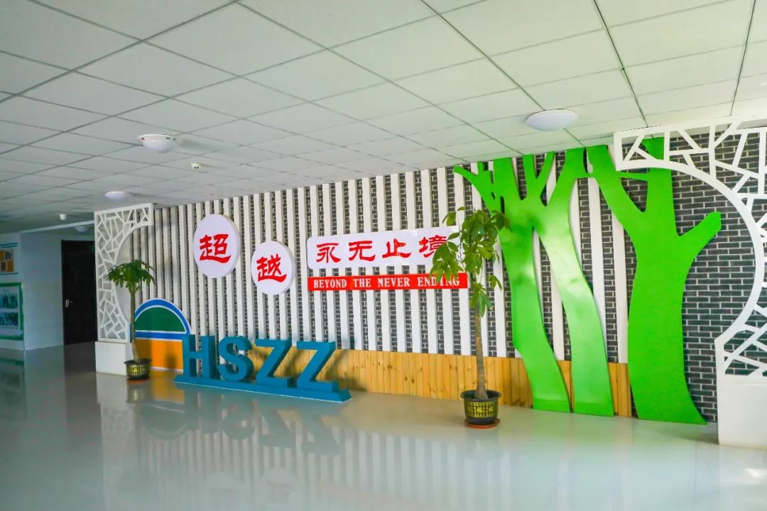 行家认为衡水二中的教育方式,衡水二中清河志臻中学
