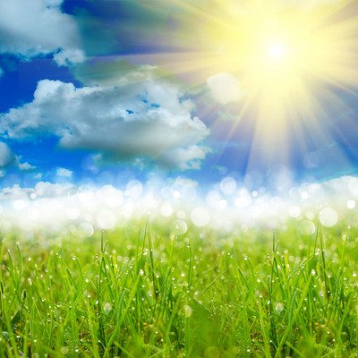 日照向上有朝气的文字,日照积极向上的字有哪些