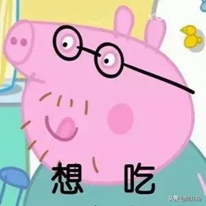 恭喜！广西南宁市首个动物类地理标志商标出山，陆川猪落选？